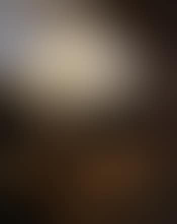 Paysan. Troupeau (preview)