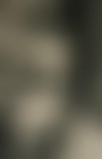 Zitted Naakt (preview)