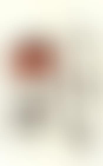 Campbell soup (preview)