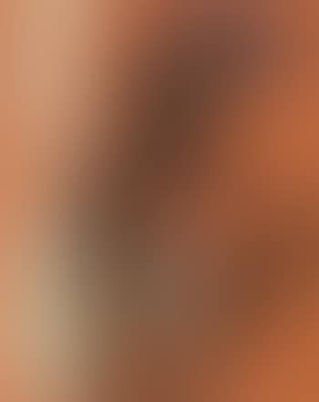 Figure (preview)