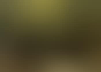 Wooded landscape with figure (preview)