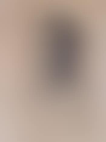 Portrait of Captain David S Garland (preview)