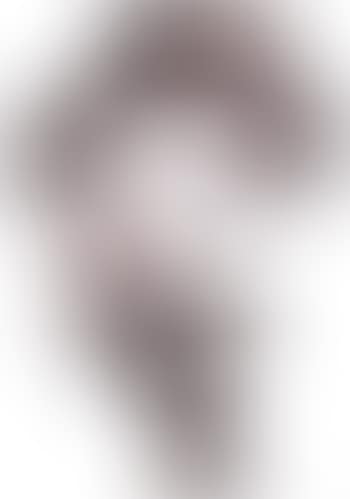Artist (preview)