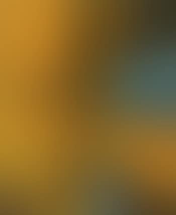 Untitled composition (preview)