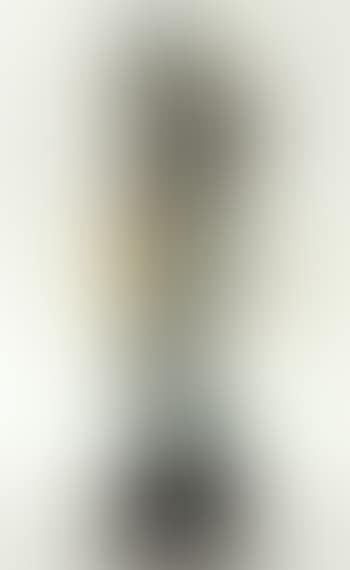 Femme au violon (preview)
