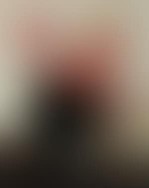 Still life of photograph and pink roses in glass jug (preview)