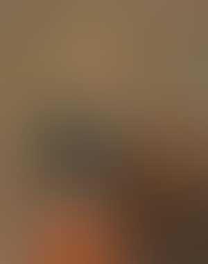 Portrait of a nobleman (preview)