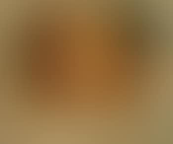 Portrait du fils de l'artiste (preview)