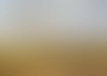 Geese in flight over the heath (preview)
