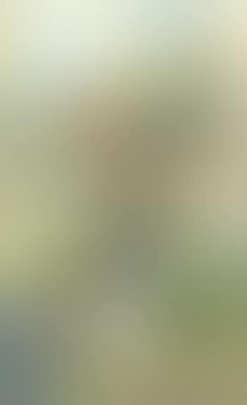 Lady and her dog walking in the park (preview)