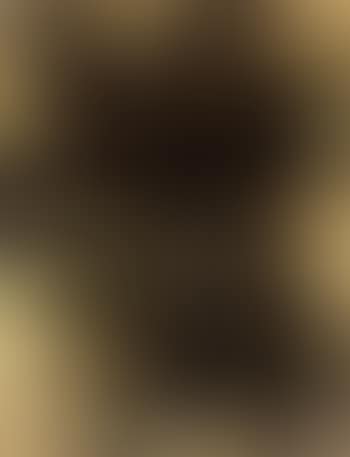 Desespoir (preview)