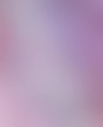 Coquilles (preview)