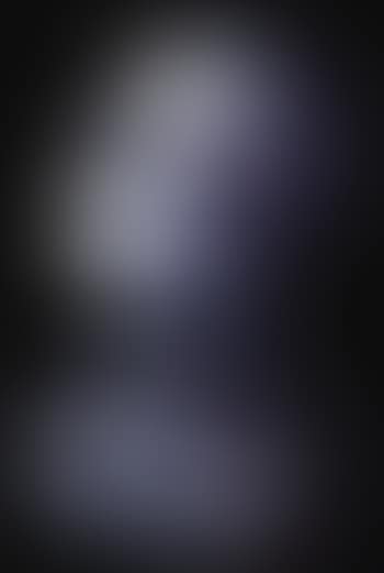 Visage aux fourmis (preview)