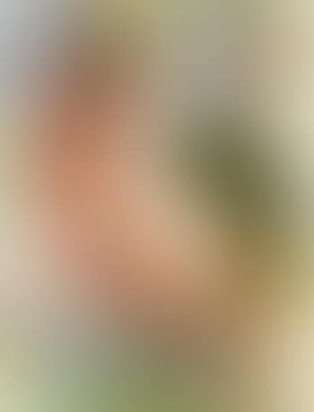 Female nude with hat in the dunes (preview)