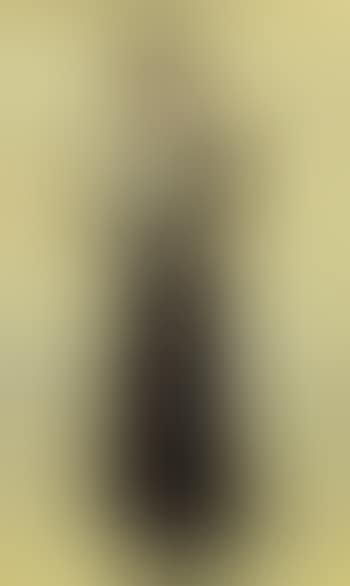 Portrait of the artist's wife (preview)