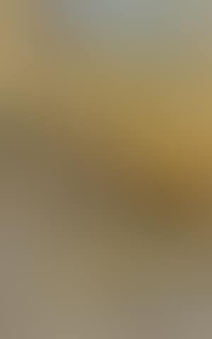 Evening sunshine, Venice (preview)