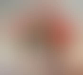Still life with Christmas stars (preview)