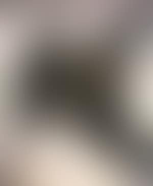 Composition (preview)