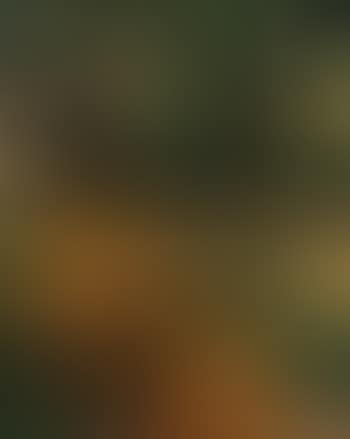 Jeanne en jaune dans le jardin de Neuilly (preview)