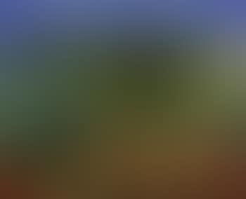 Paysage du Midi (preview)