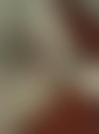Santa Claus (preview)