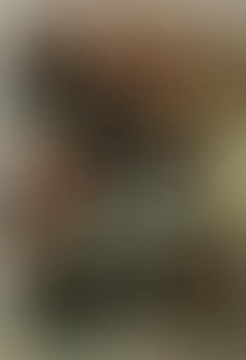 Untitled (preview)