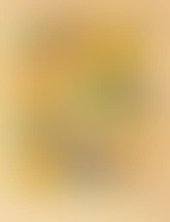 Insecks (preview)