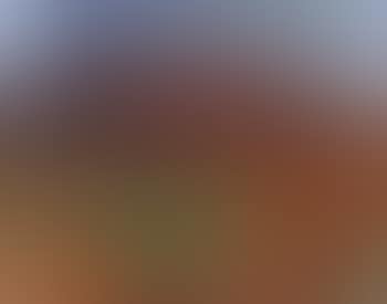 Landscape (preview)