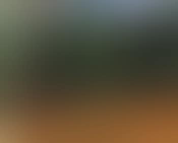 Paysage (preview)