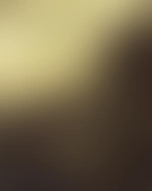 Landscape study (preview)