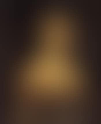 Portrait de la Duchesse de Luynes (preview)