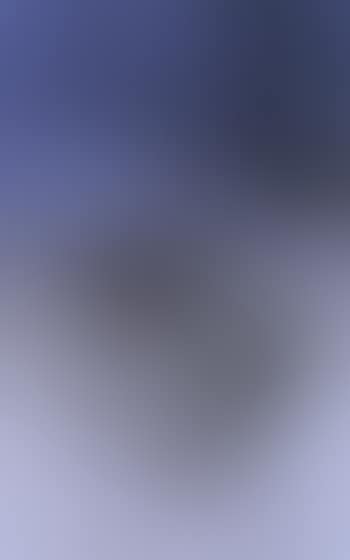T1981-R26 (preview)