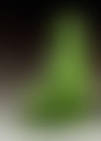Femme assise (preview)