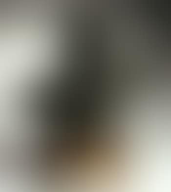 Cri (preview)