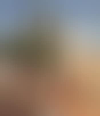 Roman landscape with monastery (preview)