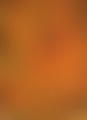 Toy picture (preview)