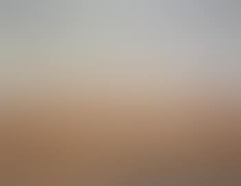 Summer landscape (preview)