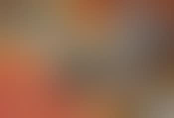 Ombres transparentes (preview)
