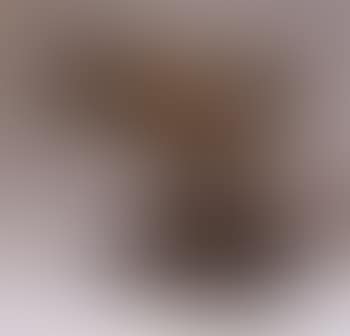 Poule Andree (preview)