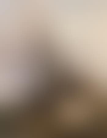 Cattle resting in a landscape (preview)
