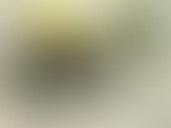 Landscape (preview)