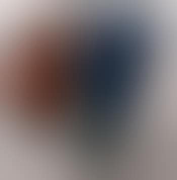 Half dollar (preview)