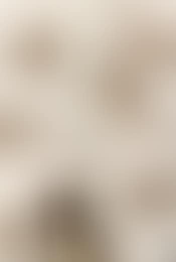 Illustration pour la Sainte Bible (preview)