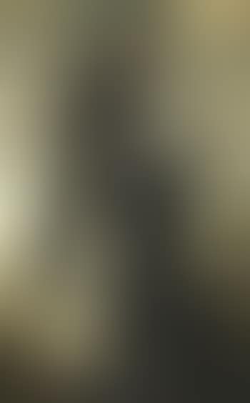 Saint Anthony Abbot (preview)