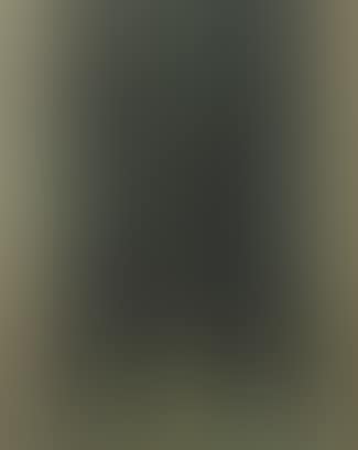 Landscape (preview)