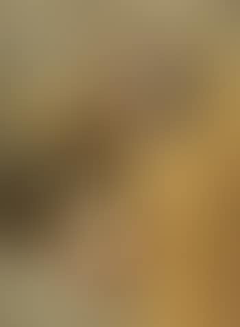 Putti amongst clouds (preview)