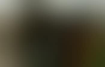 Jacob herding cattle (preview)