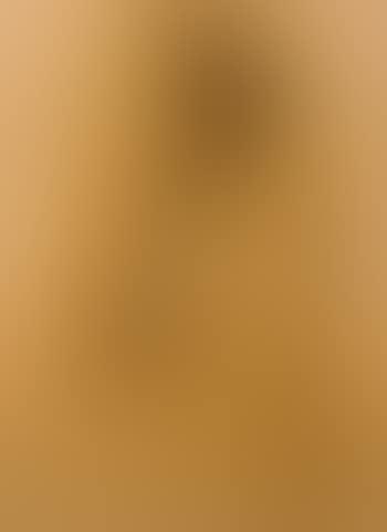 Portrait of a lady in a shawl (preview)