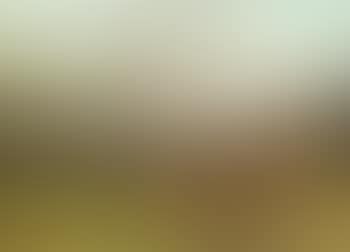 Landscape (preview)