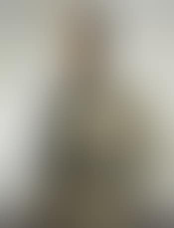King Albert in military uniform (preview)